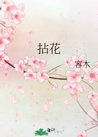 《拈花》